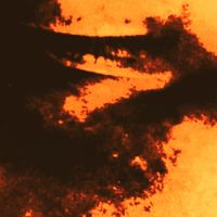 Denigrate - The Prophet