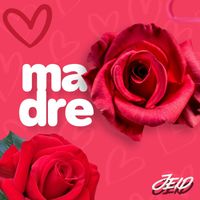JEID - Madre