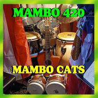 Mambo Cats - Mambo 420