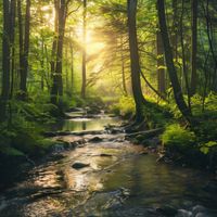 Benjamin Martins - Hollow Wild (by a Forest Stream)