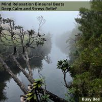 Busy Bee - Mind Relaxation Binaural Beats Deep Calm and Stress Relief