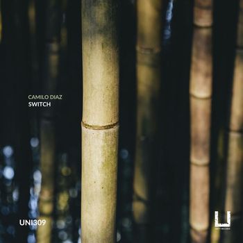 Camilo Diaz - Switch