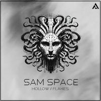 Sam Space - Hollow/Flakes