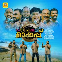 Asif Kappad - Parijakkali Mashup