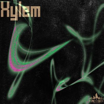 Various Artists - Xylem