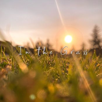 The Fool - In the Grass