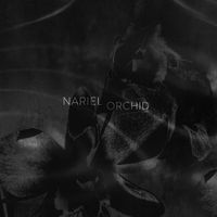 Nariel - Orchid