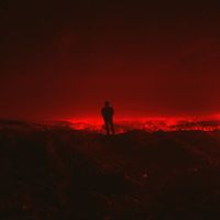 Bardia - The Night