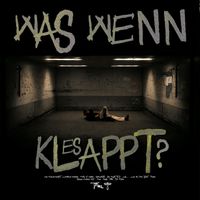 TRIM - WAS WENN ES KLAPPT? (Explicit)