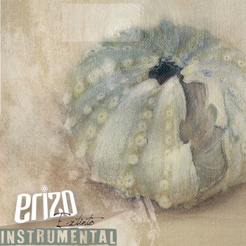 Erizo - Extinto (instrumental)