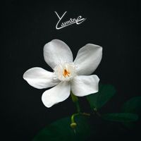Yari - Yasmine