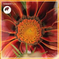 Daniel Rateuke - The Remix Session - EP