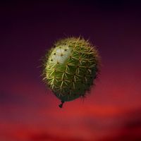 Pale Circus - Hello, Hello