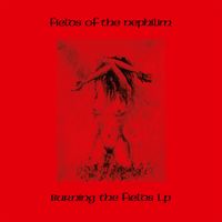 Fields of the Nephilim - Burning the Fields LP