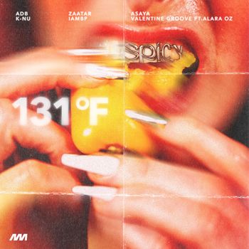 Various Artists - 131°F