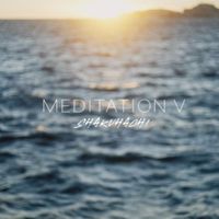 Cyrille - Meditation V (Shakuhachi)