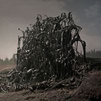 Nadjiwan - A Beautiful Darkness