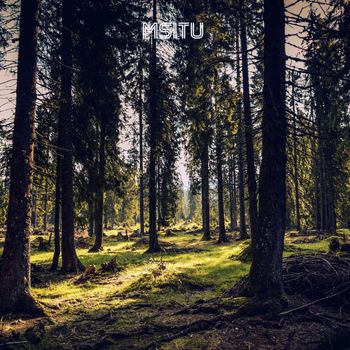 blackfish - Msitu