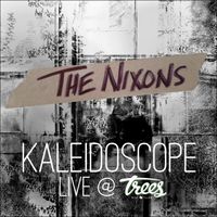 The Nixons - Kaleidoscope (Live @ Trees)