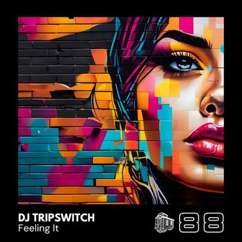 DJ Tripswitch - Feeling It