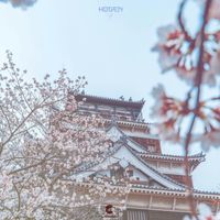Beels - Kogen