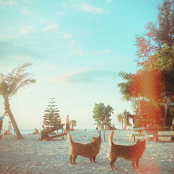 Sam Florian - Summer Crime (Explicit)