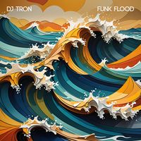 DJ Tron - Funk Flood