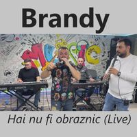 Brandy - Hai nu fi obraznic (Live)