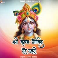 Aavya Dubey - Shree Krishna Govind Hare Murari