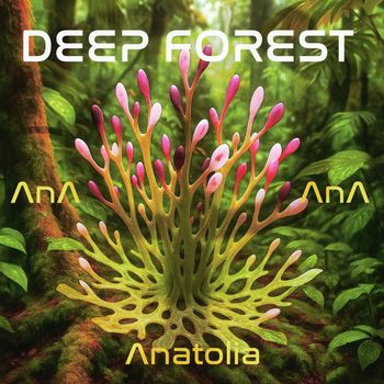 Deep Forest - Anatolia