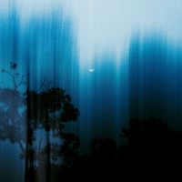 Torchbearer - For You