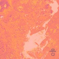 Mimmo - To Die In Noirmoutier