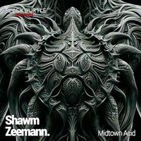 Shawm and Zeemann. - Midtown Acid
