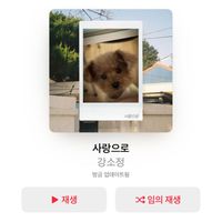 Kang Sojeong - with love