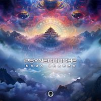 Psynecdoche - Nada Brahma