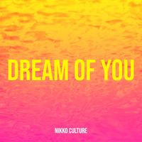 Nikko Culture - Dream of You
