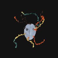 Maarten Hogenhuis - By All Means