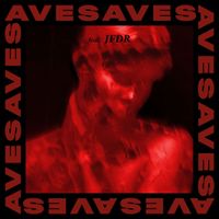 AVES (feat. JFDR) - Hunting Points