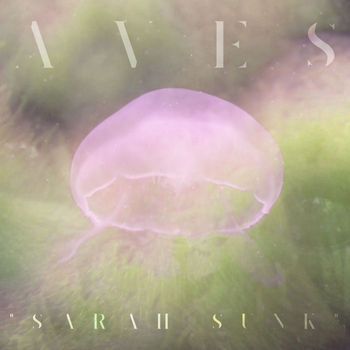 AVES - Sarah Sunk