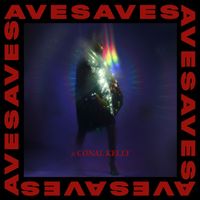 AVES - The Seasons