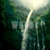 HORIZON - Woods