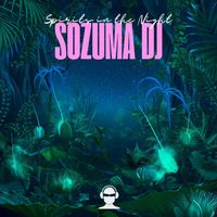 Sozuma DJ - Spirits In The Night