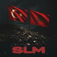Batuflex - SLM