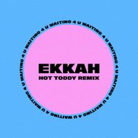 Ekkah - Waiting 4 You (Hot Toddy Remix)