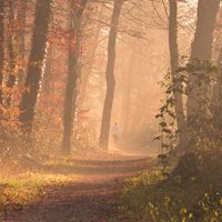 Anthony Rios - Run Now