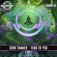 Dion Timmer - Tend To You
