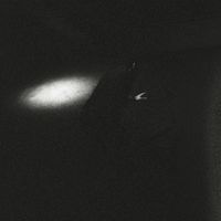 Tropics - Reality Fever