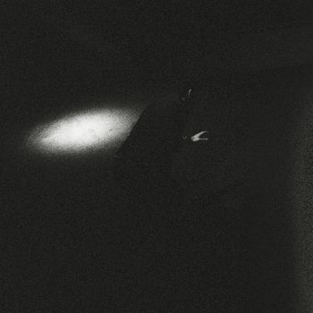 Tropics - Reality Fever