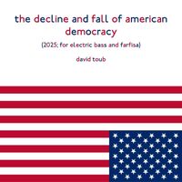 david toub - the decline and fall of american democracy