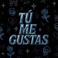Rojas - TÚ ME GUSTAS (Explicit)